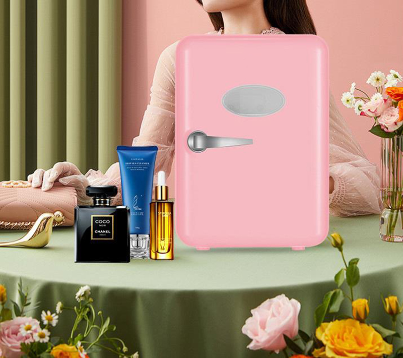 Dupla utilização 4l casa uso d - Beauty Makeup Fridge avaliação e preço
